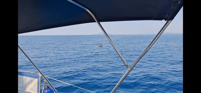 Dubrovnik yacht cruise-Elafity islands & Blue cave - What’s Included — And What’s Not
