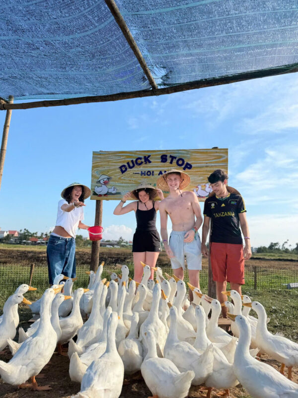 Duck Stop Hoi An Experience - Duck Stop Hoi An at a glance