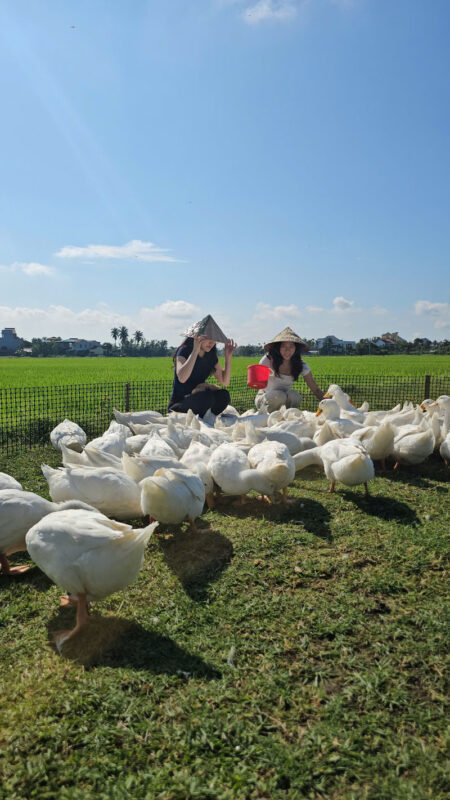 Duck Stop Hoi An Experience - A farm visit with a funny main event