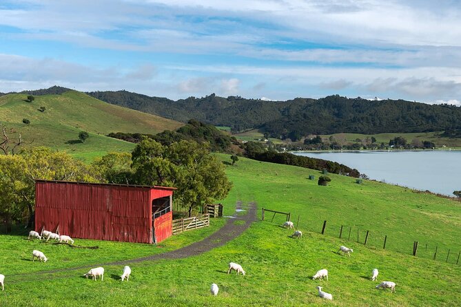 Duder Regional Park Half-Day Walking Tour - Meeting and Pickup Details