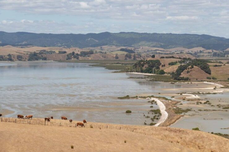 Duder Regional Park Walking Tours - Tour Details