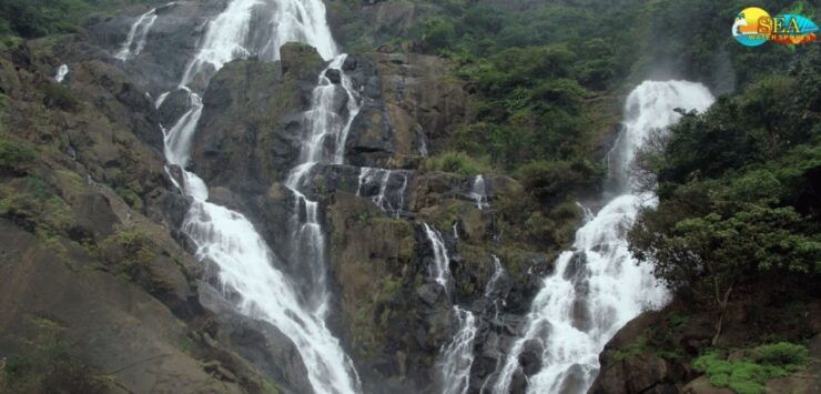 Dudhsagar Water Fall Trip - Scenic Drive and Natures Embrace