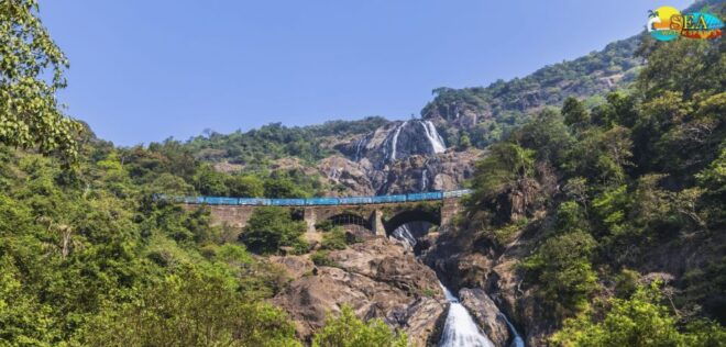 Dudhsagar Water Fall Trip - Witnessing the Awe-Inspiring Dudhsagar Waterfalls