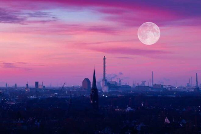 Duisburg Private Guided Walking Tour - Inclusions for Participants