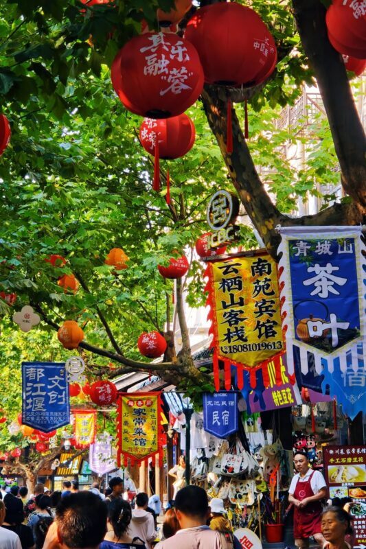 Dujiangyan Evening Historical Tour with Blue Tears - Who should choose this Dujiangyan night tour