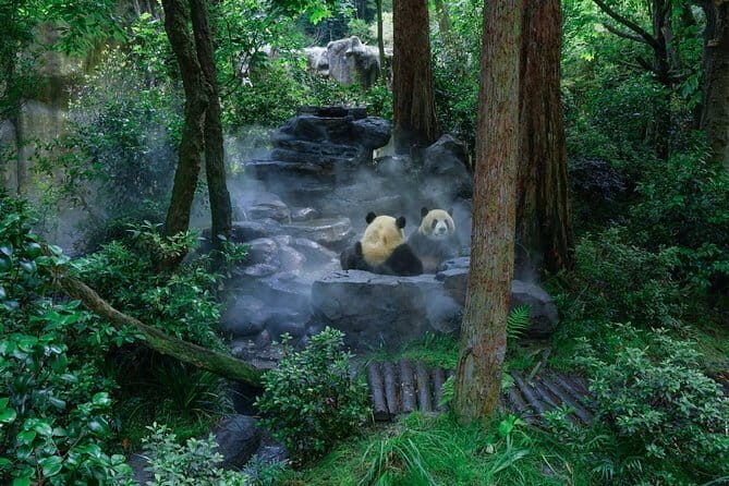 Dujiangyan Foodie Night Tour in Guanxian ancient town - The Sum Up: Who Will Love This Tour?