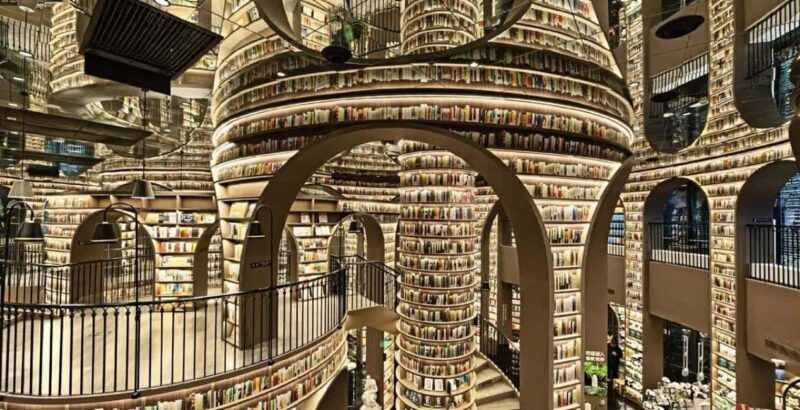 Dujiangyan Half Day Tour and Blue Tears Night View - Introduction: Why This Tour Stands Out