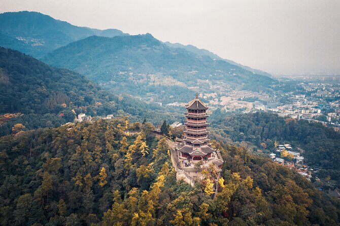 Dujiangyan Irrigation System and Panda Base Day tour - An In-Depth Look at the Tour Experience