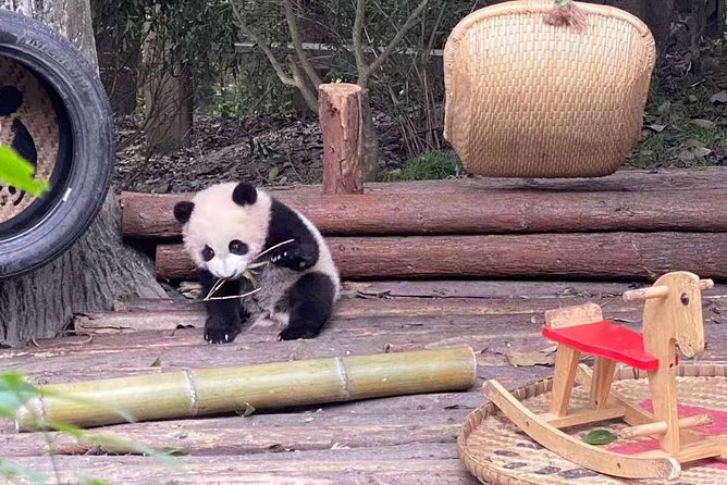 Dujiangyan Panda Center and Dujiangyan Irrigation System One Day Tour - Tour Highlights