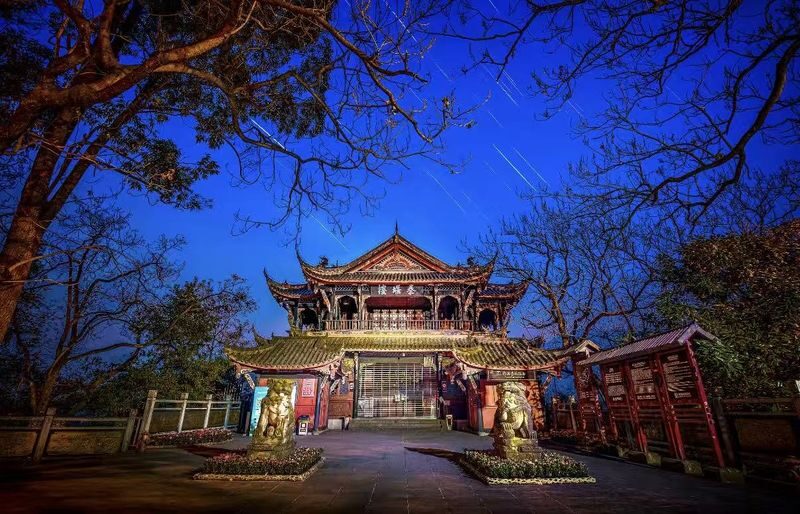 Dujiangyan & Panda Valley Day Tour in Chengdu + Sichuan Opera Performance - Is $59.65 good value?
