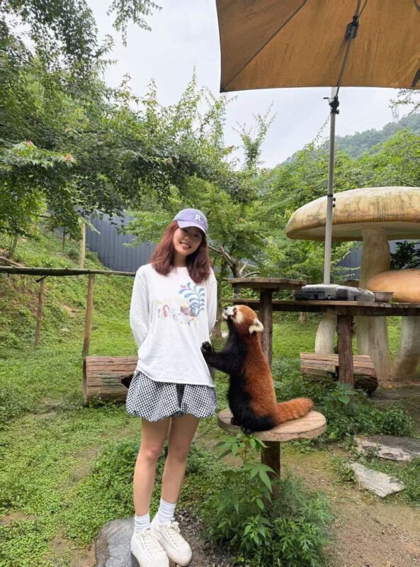 Dujiangyan Panda Valley & Red Panda Forest Private Tour with Feeding & Photos - Two panda encounters in one Dujiangyan day