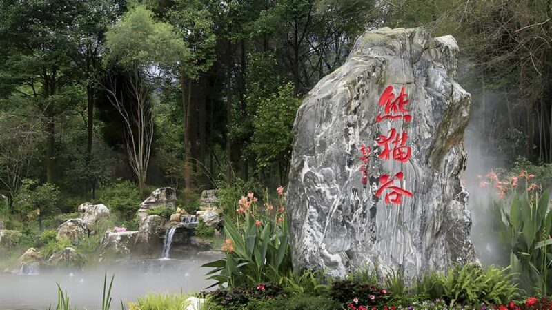 Dujiangyan: Panda Valley Ticket - A Deep Dive into the Panda Valley Experience