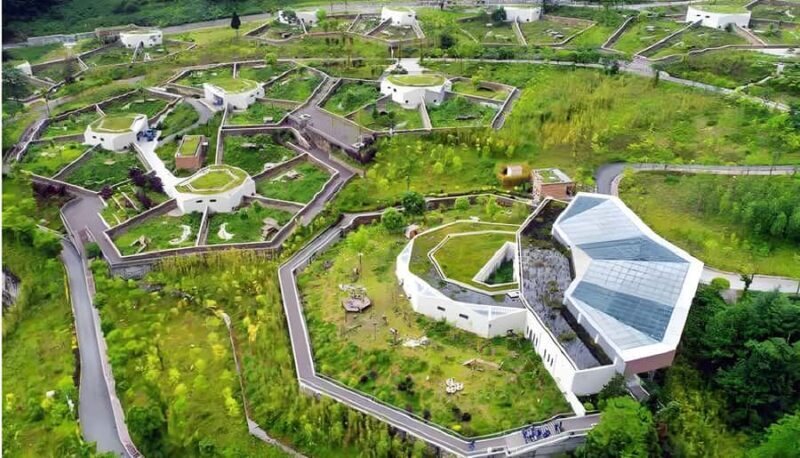 Dujiangyan: Wolong Shenshuping Panda Garden Ticket - Conservation and Educational Aspects