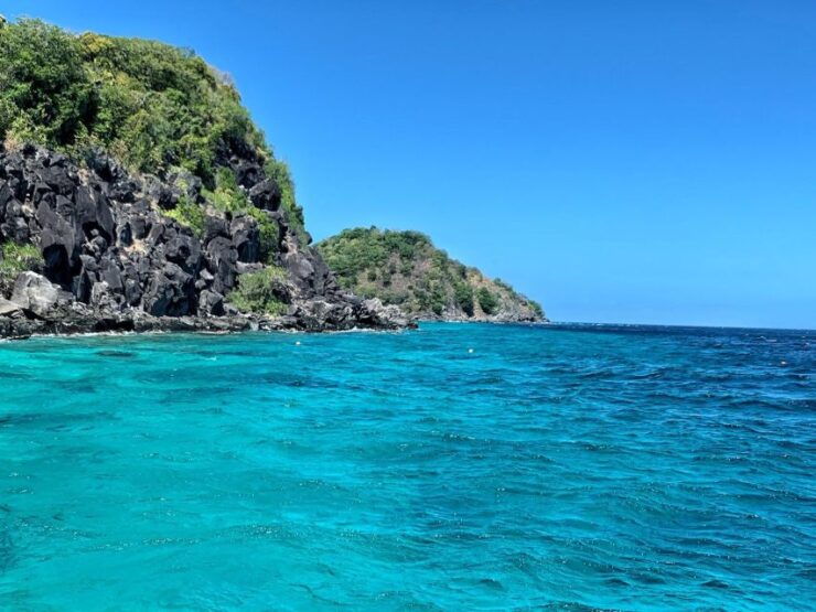 Dumaguete Apo Island With Turtle Snorkeling - Duration and Availability