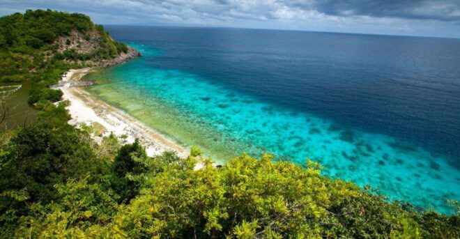 Dumaguete Apo Island With Turtle Snorkeling - Hotel Pickup Information