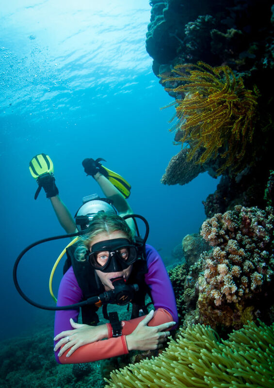 Dumaguete & Dauin Dive into Fun for beginners at PADI 5* Center" - Booking details worth checking