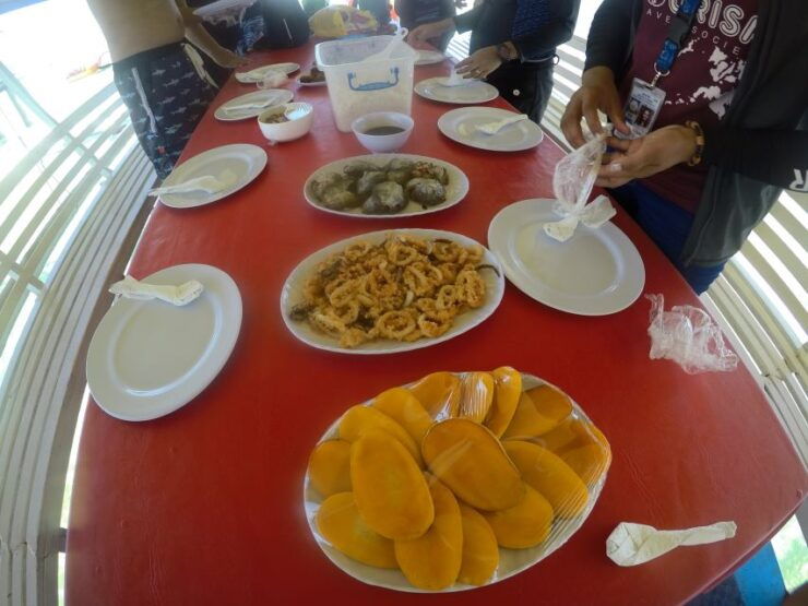 Dumaguete: Dolphin Watching & Manjuyod Sandbar Private Tour - Activity Details