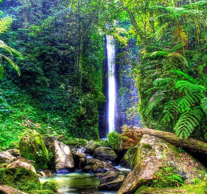 Dumaguete: Forest Camp and Casaroro Falls Day Trip - Good To Know