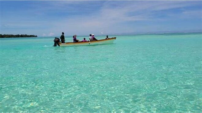 Dumaguete Manjuyod Sand Bar & Dolphin Watching - Activity Details