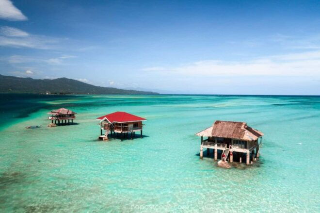 Dumaguete Manjuyod Sand Bar & Dolphin Watching - What to Bring for the Excursion