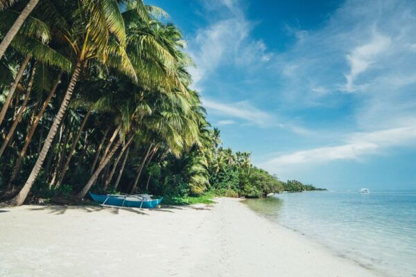 Dumaguete: Siquijor Island & Cambugahay Falls Private Tour - Exciting Activities at Cambugahay Falls