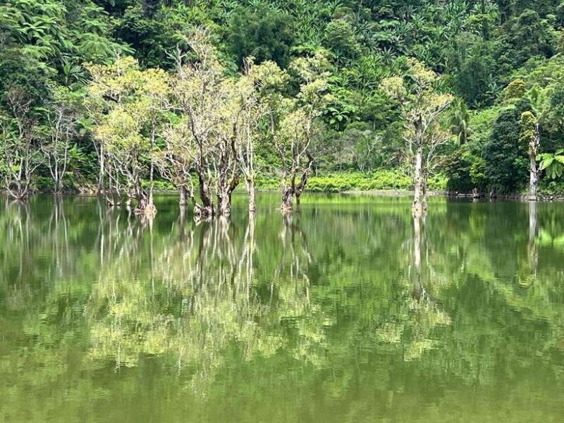 Dumaguete Tours in English - Authentic Experiences and Real Words from Guests