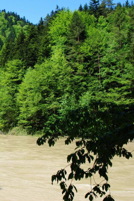 Dunajec River Rafting Tour From Krakow - Inclusions and Transportation