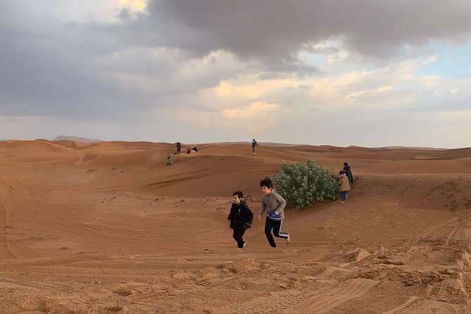DUNE BASHING - Desert Safari, The Heartbeat of Dubai! - Common Questions