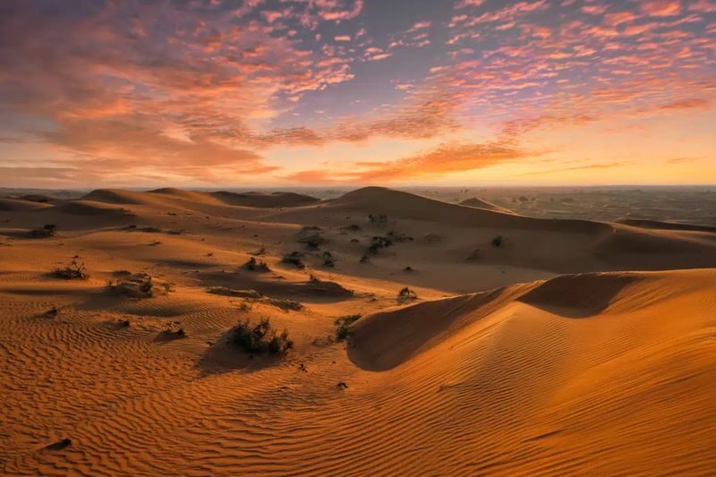 Dune Bashing Desert Safari Tour in Ras Al Khaimah - What the $63.75 starting price gets you