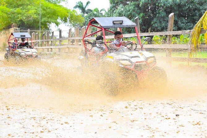 Dune Buggy and Coffee Tasting & Water Cave From Punta Cana - Pricing and Booking Information