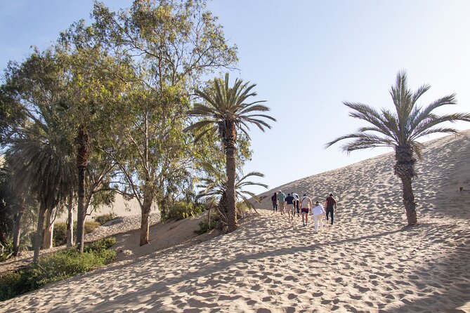 Dune Buggy at Sunset & Sandboarding From Huacachina Ro Ica - Cancellation Policy