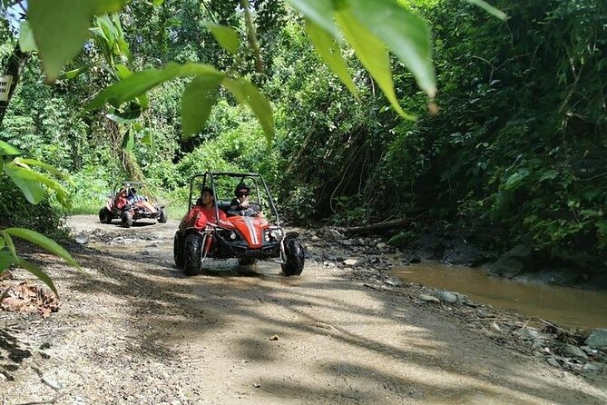 Dune Buggy Jungle Adventure & Muddy Beach Tour(Non Cruise Guests Only) - Tour Overview