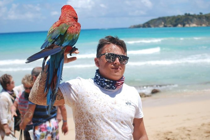 Dune Buggy - Macao Beach - River Cave and a Lot of Fun - Fun in the Sun: Macao Beach Exploration