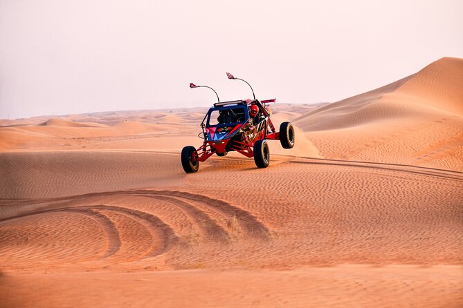 Dune Buggy Ride in Red Dunes Desert Safari- Private Experience - Inclusions and Safety Measures