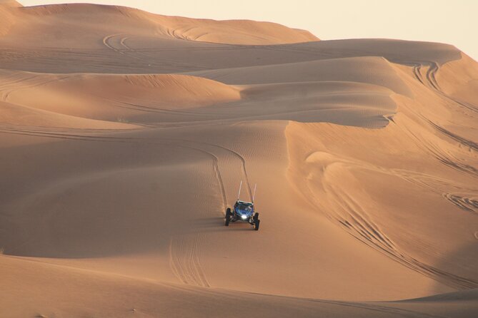 Dune Buggy Ride in Red Dunes Desert Safari- Private Experience - Sandboarding and Cultural Insights