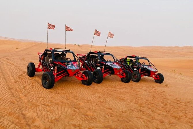 Dune Buggy Ride in Red Dunes Desert Safari- Private Experience - Additional Information and Cancellation Policy