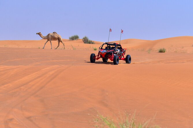 Dune Buggy Ride With Private BBQ Dinner in the Desert - Common Questions