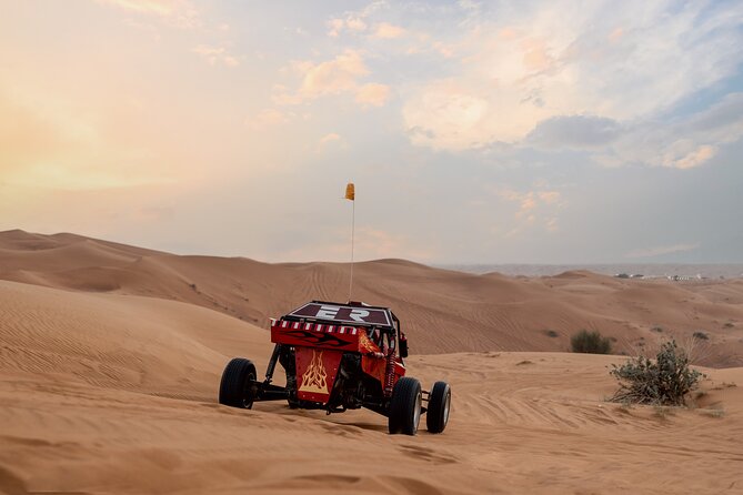 Dune Buggy Safari Tour in Red Dunes - Additional Details