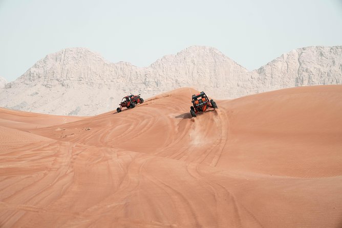 Dune Buggy Safari With Private Dinner in The Desert - Experience the Thrilling Dune-And-Valley-Filled Course