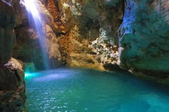 Dune Buggy Tour to Village, Plantations, Beach, and Caves  - Punta Cana - Discovering Cocoa and Coffee Plantations