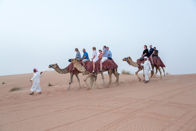 Dune Dinner Safari Abu Dhabi - Directions
