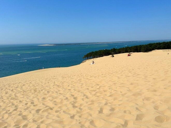 Dune Du Pilat and Oysters Tasting ! What Else ? - Oysters Tasting Options