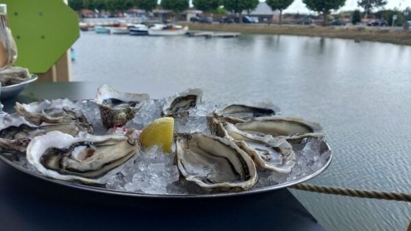Dune Du Pilat and Oysters Tasting ! What Else ? - Additional Food Options