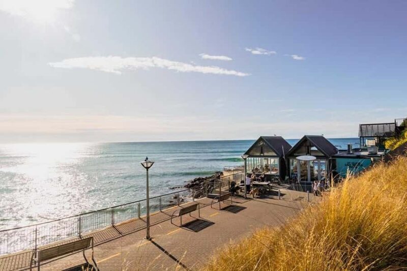 Dunedin: 3 Hour Artisan Food Walking Tour - A Closer Look at the Dunedin Food Tour