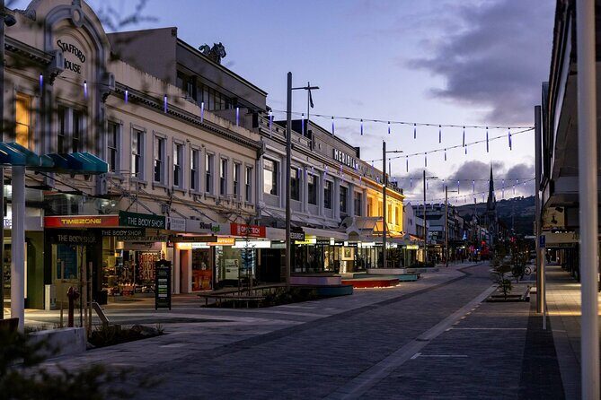 Dunedin 4 Hrs halfday Private Tour - What Sets This Tour Apart?