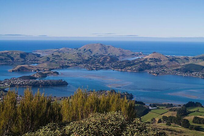 Dunedin 4 Hrs halfday Private Tour - Frequently Asked Questions