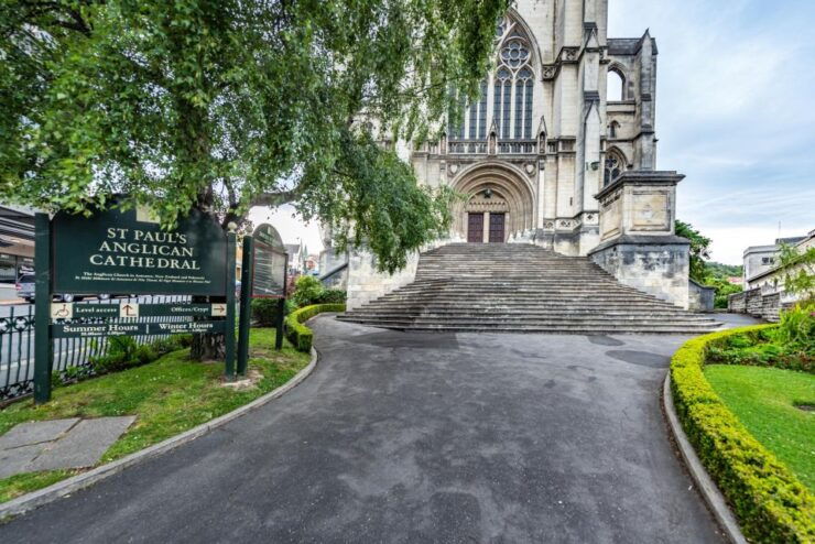 Dunedin Adventure: Family Heritage & Nature Walk - Activity Overview