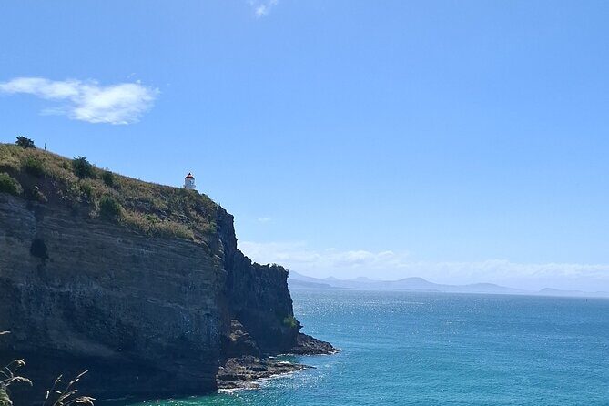Dunedin and Otago Peninsula Private Tours Up to 4 people - Good To Know