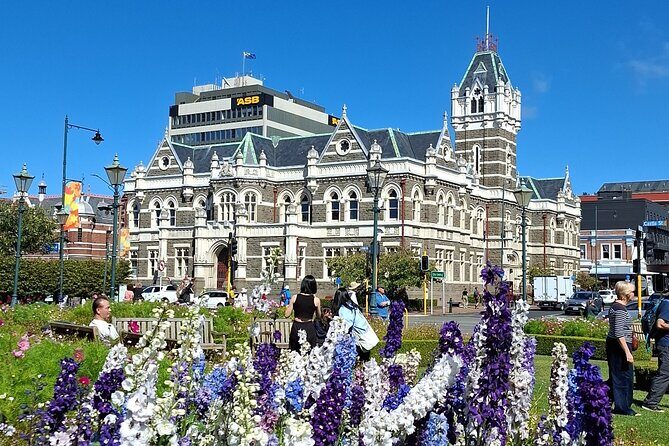 Dunedin and Otago Peninsula Private Tours Up to 4 people - An In-Depth Look at the Dunedin and Otago Peninsula Tour