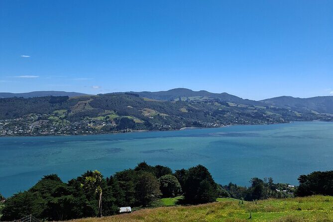 Dunedin and Otago Peninsula Private Tours Up to 4 people - FAQs